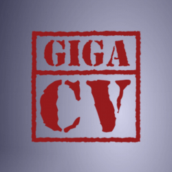 giga-cv app